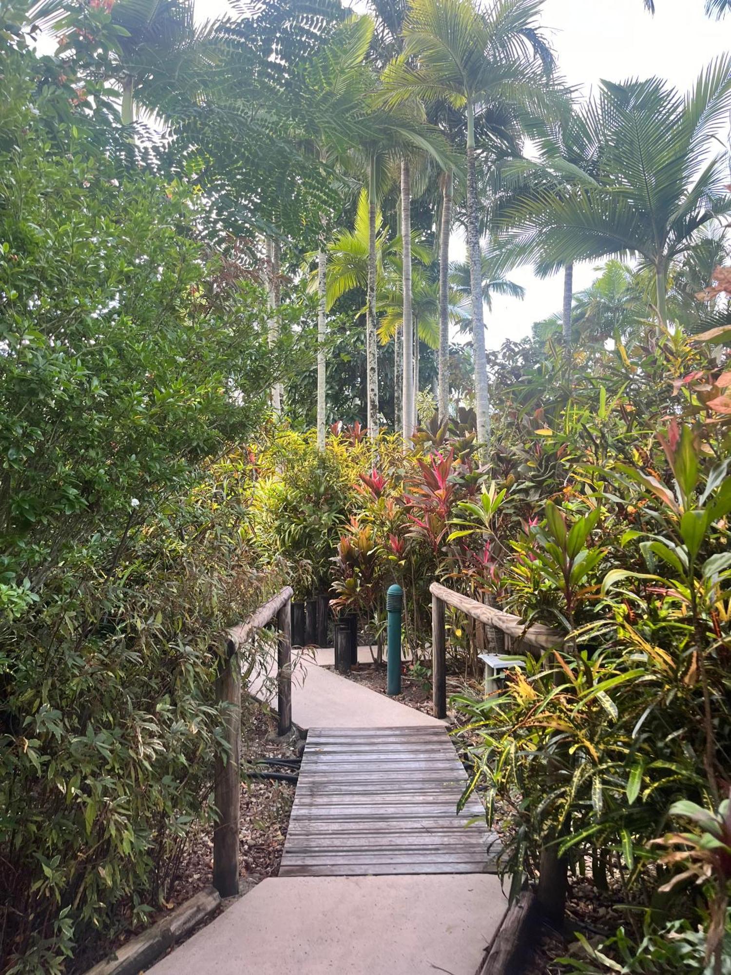 The Villas Palm Cove Bagian luar foto